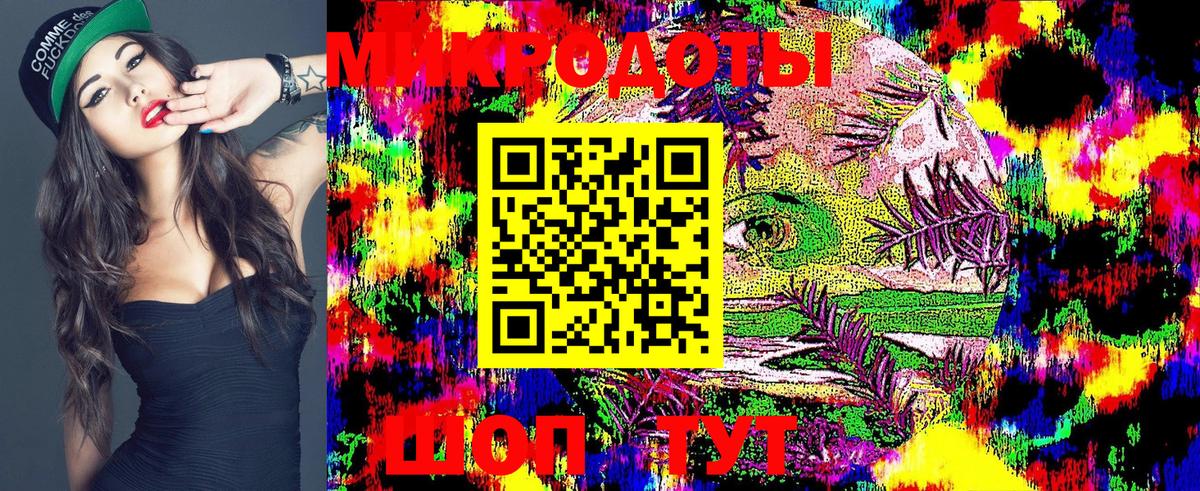 Галлюциногенные грибы Psilocybe Москва