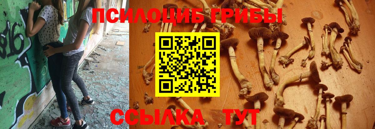 Галлюциногенные грибы Magic Shrooms  Вход с VPN  Москва 